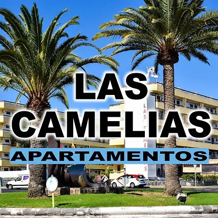 Camelias V14 Maspalomas (Gran Canaria)