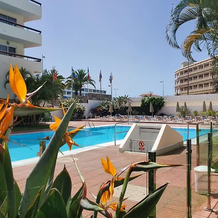 Camelias V14 *